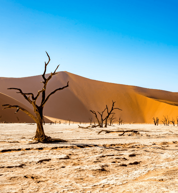 Namib-Naukluft National Park in Namibia