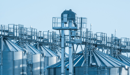 Agri-Food and Agro-Industry